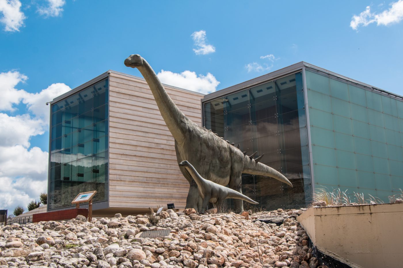 Puede ser calculado cero malla Museo Paleontológico de Castilla-La Mancha – MUPA